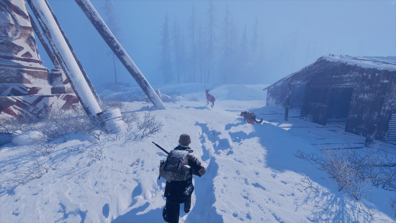 Exploration across a frozen valley with wildlife in the distance